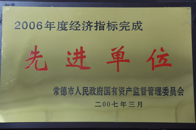 2006年度經(jīng)濟(jì)指標(biāo)完成一”先進(jìn)單位“